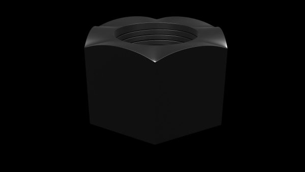 Hex Nut
