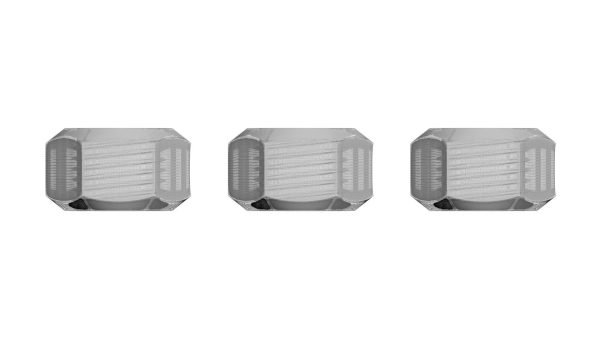 Hex Nuts