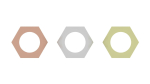 Hex Nuts