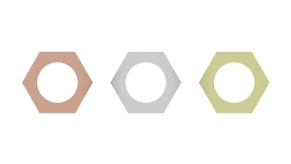 Hex Nuts