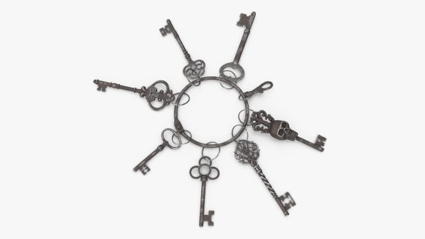 Historical Keys Ring Steel