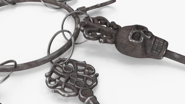 Historical Keys Ring Steel