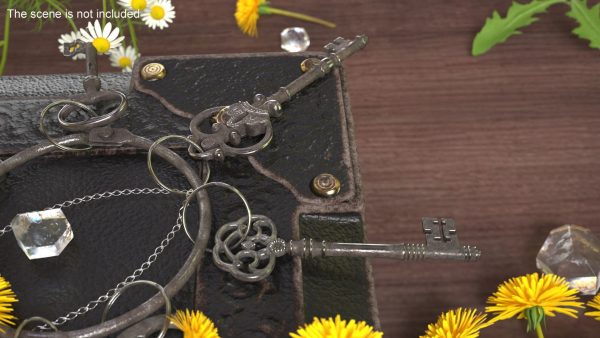 Historical Keys Ring Steel