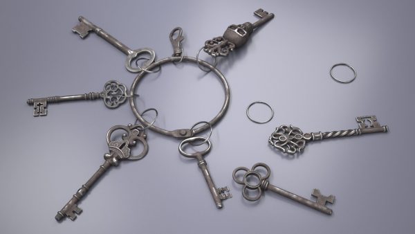 Historical Keys Ring Steel