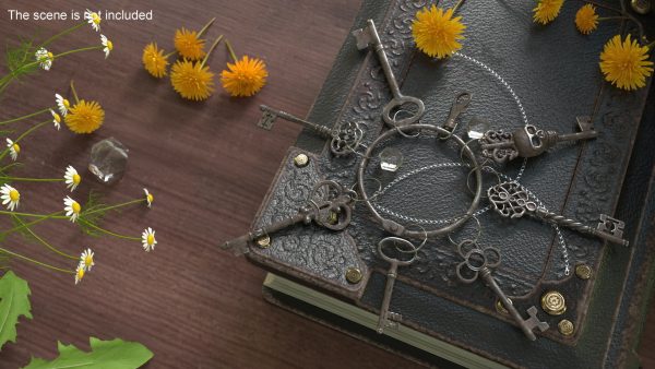 Historical Keys Ring Steel