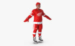 Hockey Player Detroit Red Wings