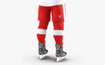 Hockey Player Detroit Red Wings