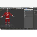 Hockey Player Detroit Red Wings