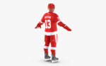 Hockey Player Detroit Red Wings