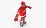 Hockey Player Detroit Red Wings