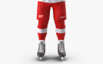 Hockey Player Detroit Red Wings
