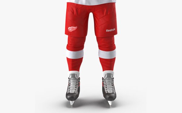 Hockey Player Detroit Red Wings