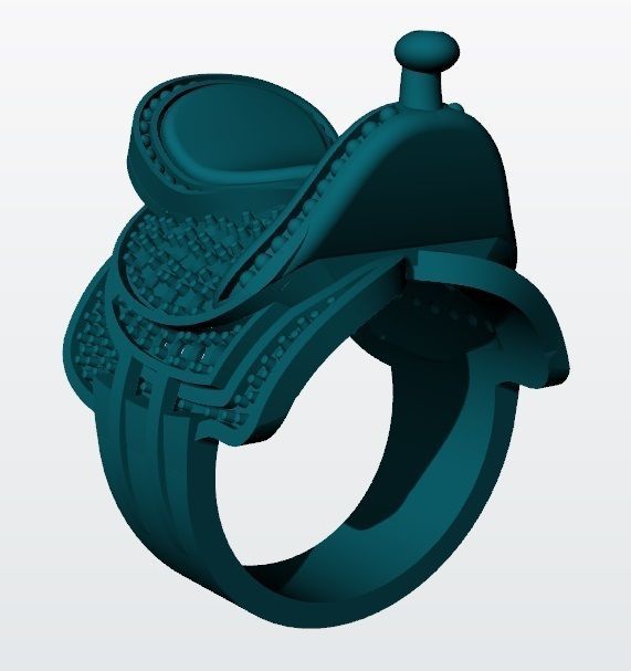 Horse Saddle Ring