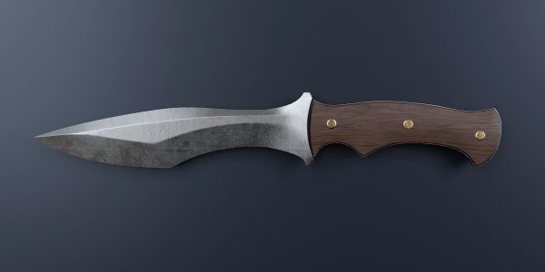 Hunting knife with wooden grips 4