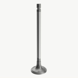 Internal combustion engine valve