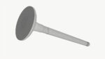 Internal combustion engine valve