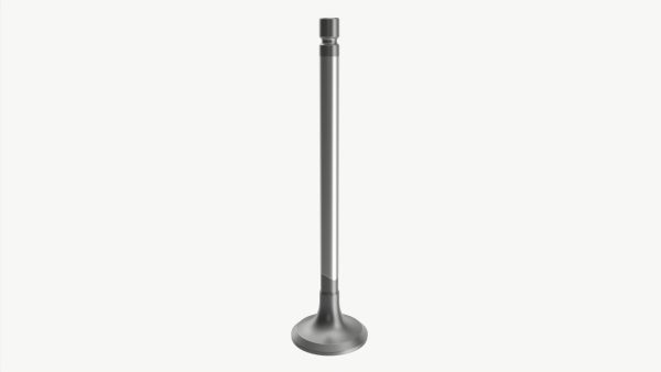 Internal combustion engine valve