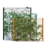 Ivy wall eight