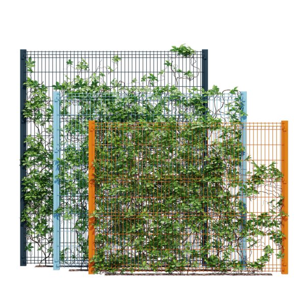 Ivy wall eight