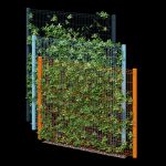 Ivy wall eight