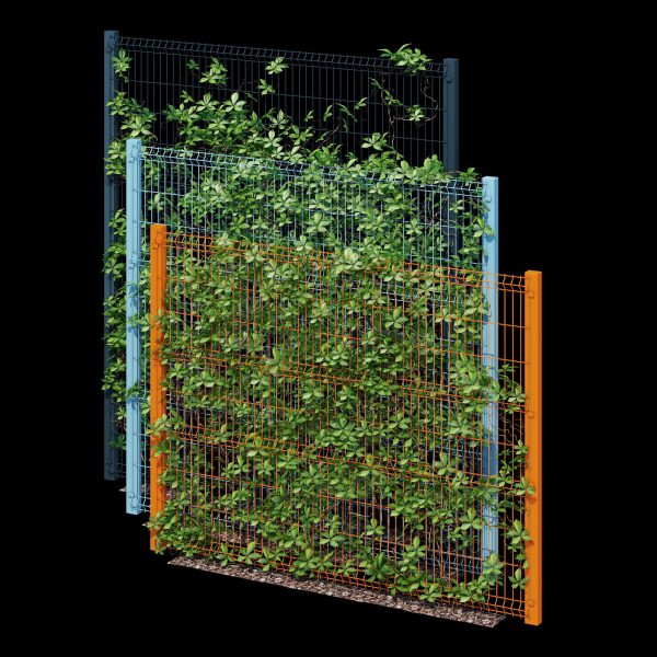 Ivy wall eight