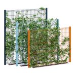 Ivy wall eight