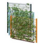 Ivy wall eight