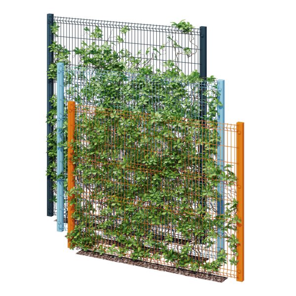 Ivy wall eight