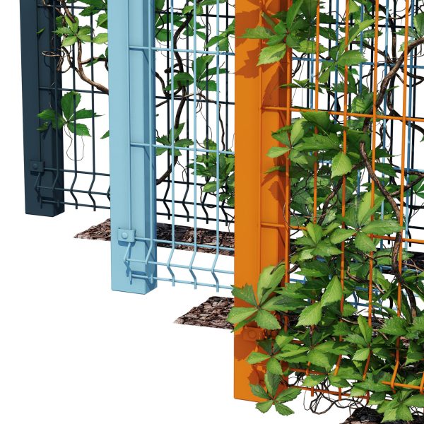 Ivy wall eight