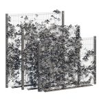 Ivy wall eight