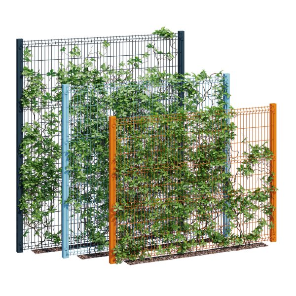 Ivy wall eight
