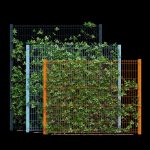 Ivy wall eight