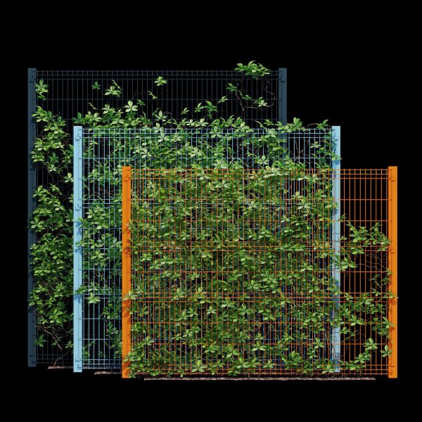 Ivy wall eight