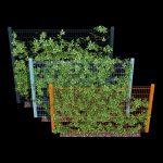 Ivy wall eight