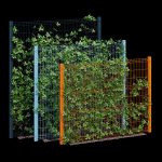 Ivy wall eight