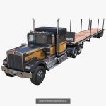 Kenworth w900A large collection
