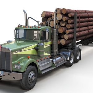 kenworth-w900a-log-train-truck-3d-model-61e21c9f7b