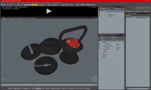 Kettlebell with Disks