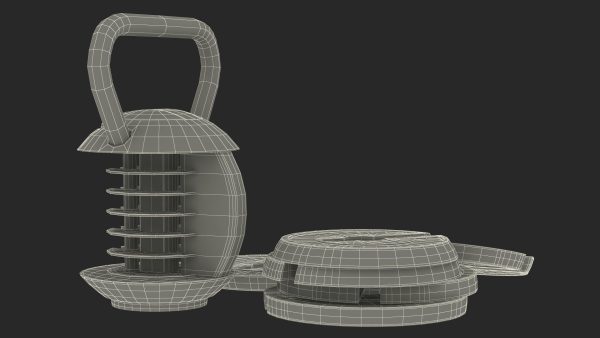 Kettlebell with Disks