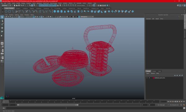 Kettlebell with Disks