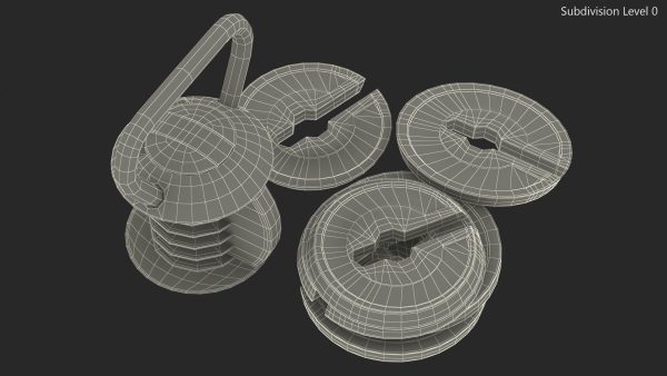 Kettlebell with Disks