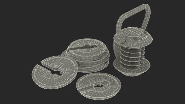 Kettlebell with Disks