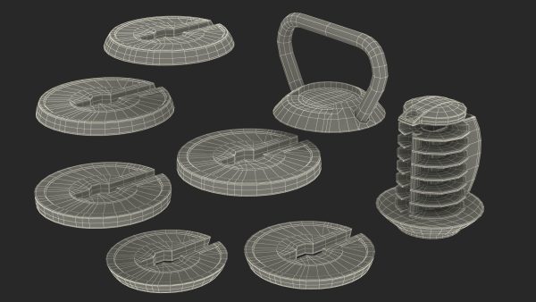 Kettlebell with Disks