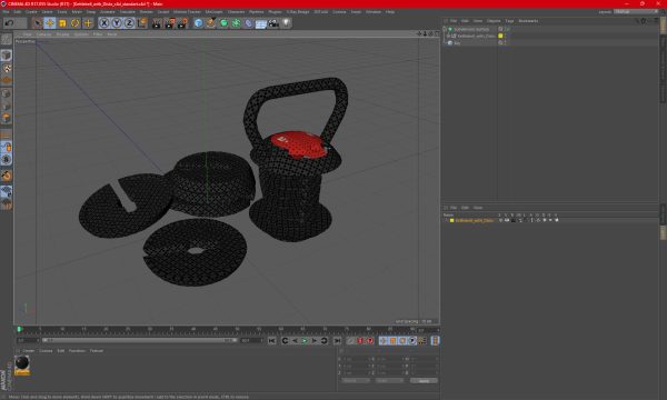 Kettlebell with Disks