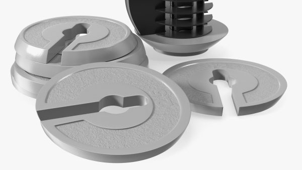 Kettlebell with Disks Gray