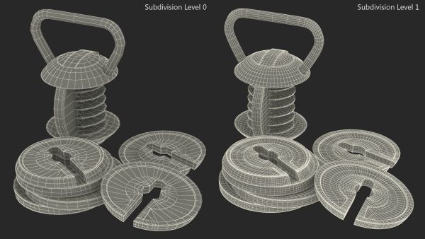 Kettlebell with Disks Gray