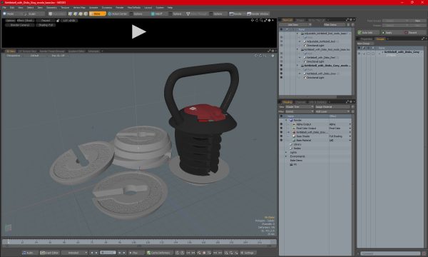 Kettlebell with Disks Gray