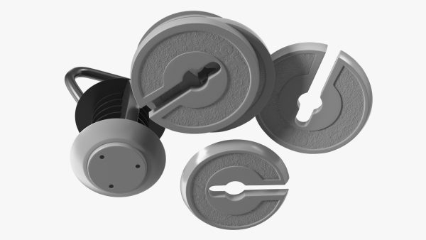 Kettlebell with Disks Gray