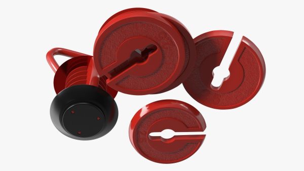 Kettlebell with Disks Red