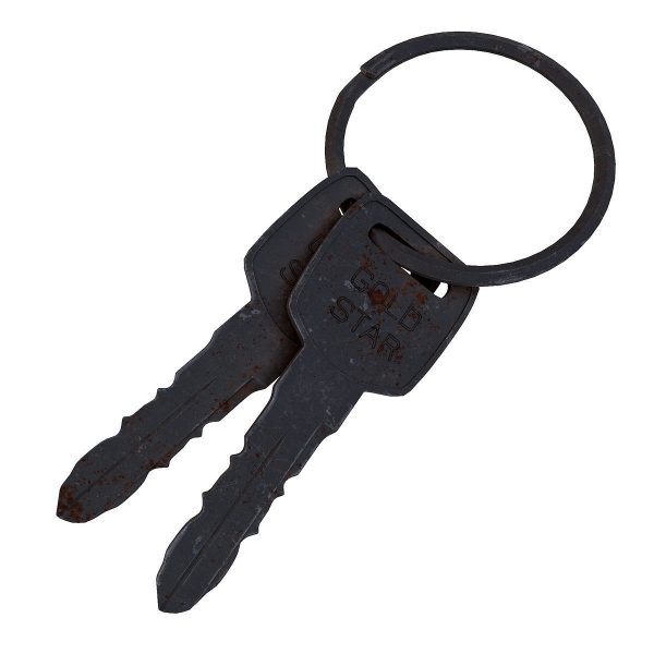 Key 3d model two gold keys